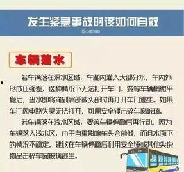 阳江今日爆料最新消息查询,揭秘今日热点事件真相  第2张